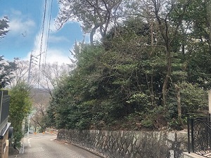 他県の山林の売却をご依頼頂きました。